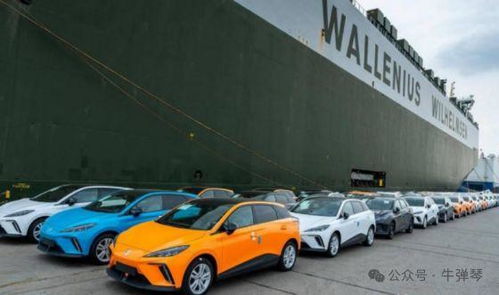 他們到底在怕什么,歐盟再次對華加征臨時(shí)額外關(guān)稅